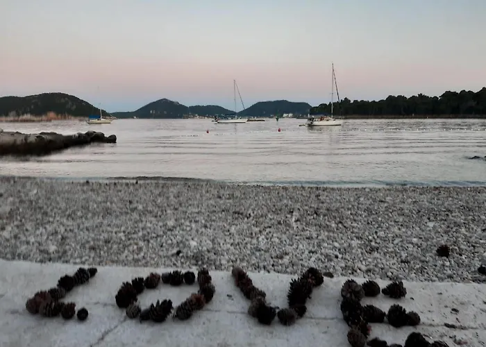 公寓 Mali Skoj 萨度拉德